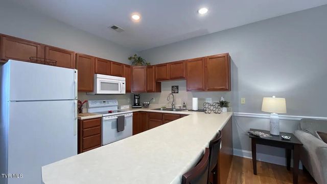 169 East Grande Avenue, 401, Johnson City, TN 37601