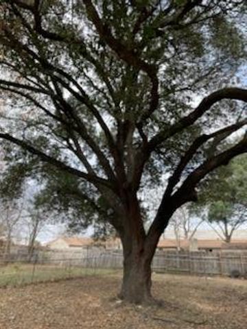 7402 Southgate LN B, Austin, TX 78744