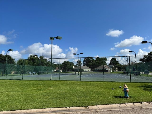 12994 Centaurus Court, Willis, TX 77318