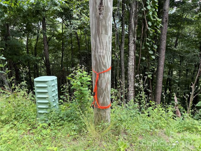 0000 Chimney Ridge Trail, Waynesville, NC 28786