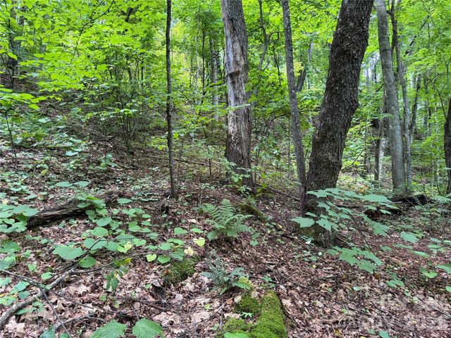 0000 Chimney Ridge Trail, Waynesville, NC 28786