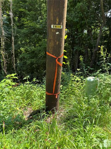 0000 Chimney Ridge Trail, Waynesville, NC 28786