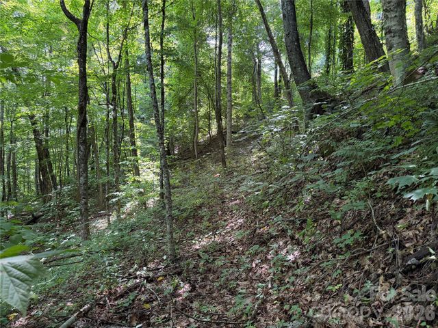 0000 Chimney Ridge Trail, Waynesville, NC 28786