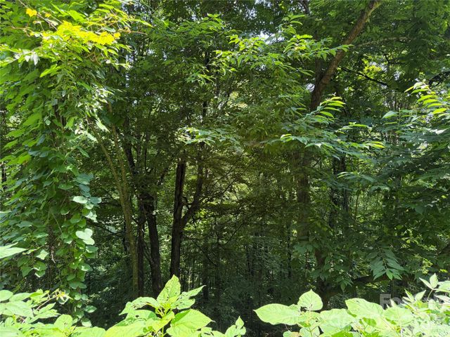 0000 Chimney Ridge Trail, Waynesville, NC 28786