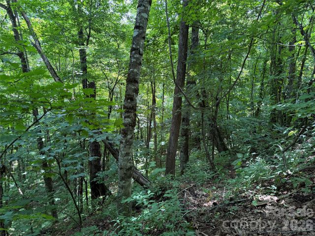 0000 Chimney Ridge Trail, Waynesville, NC 28786