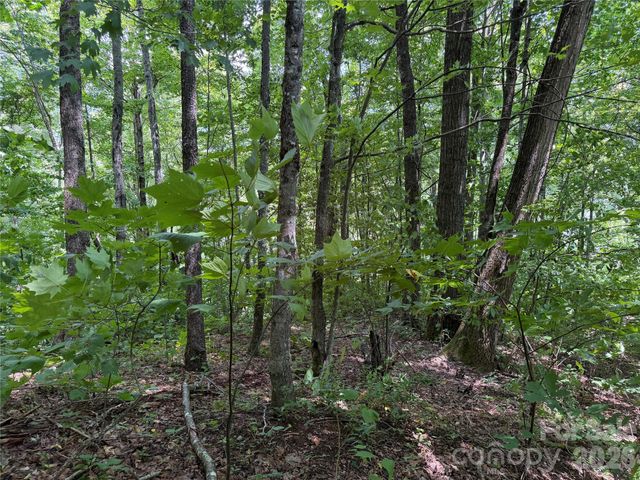 0000 Chimney Ridge Trail, Waynesville, NC 28786