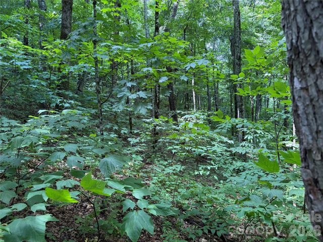0000 Chimney Ridge Trail, Waynesville, NC 28786