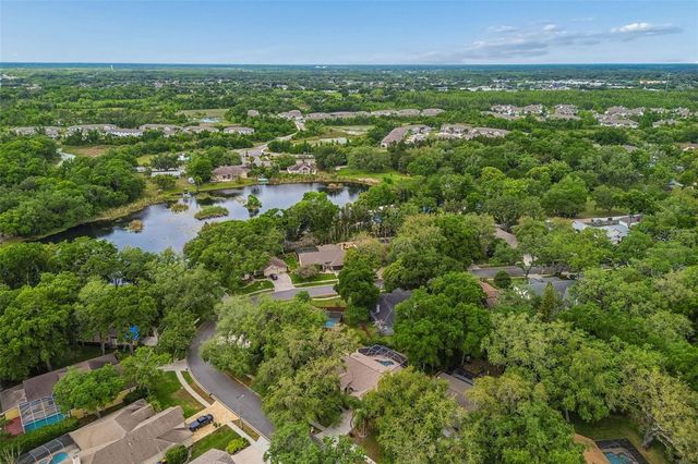 1336 WATERWOOD DRIVE, Lutz, FL 33559