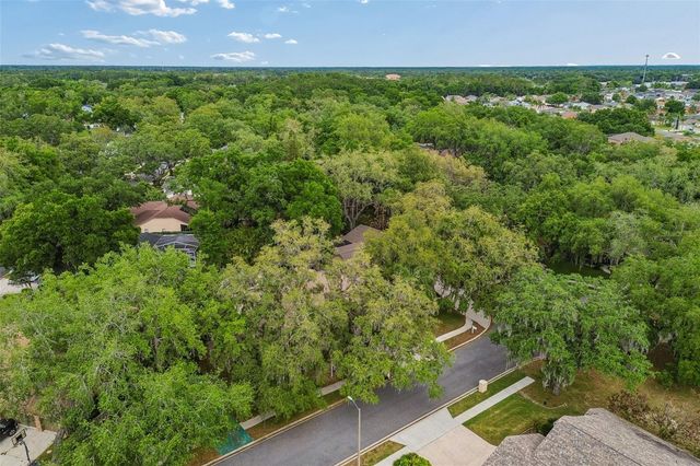 1336 WATERWOOD DRIVE, Lutz, FL 33559