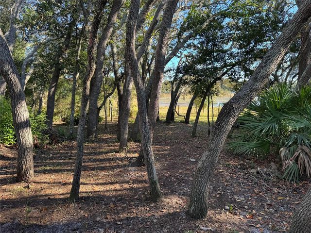 13218 VIVIAN LANE, Hudson, FL 34669