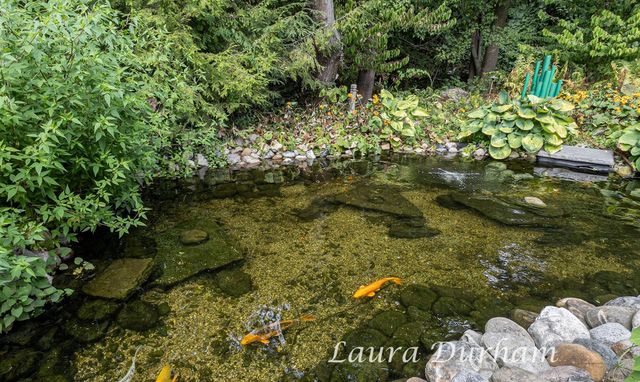 790 Lake Street, Saugatuck, MI 49453