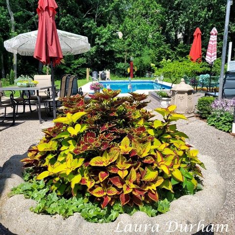 790 Lake Street, Saugatuck, MI 49453