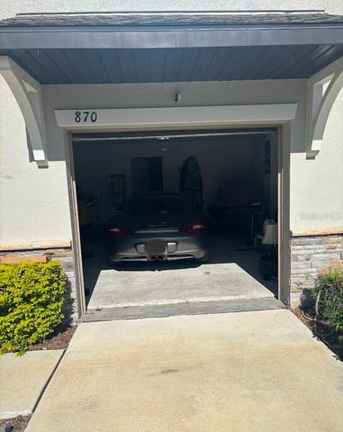 870 TENNYSON MILL CIRCLE, Tampa, FL 33619