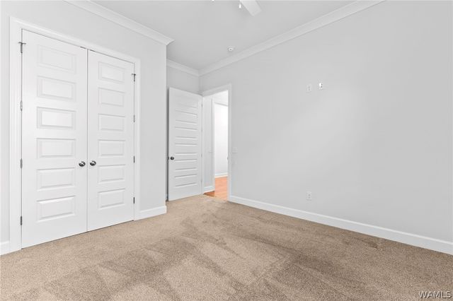 13541 Margaret Way, Northport, AL 35475