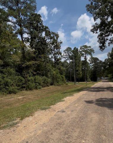 TBD Mistletoe, Onalaska, TX 77360