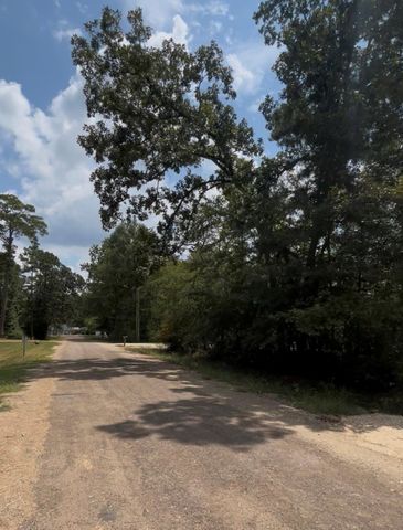 TBD Mistletoe, Onalaska, TX 77360