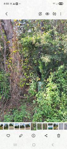 838 Fm 1489 Road, Brookshire, TX 77423