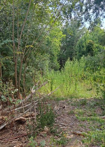 838 Fm 1489 Road, Brookshire, TX 77423