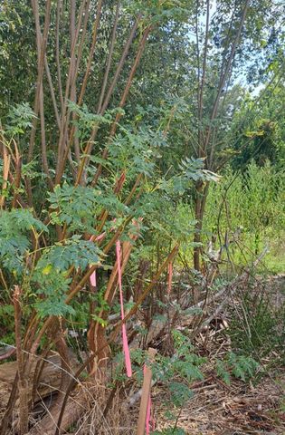 838 Fm 1489 Road, Brookshire, TX 77423