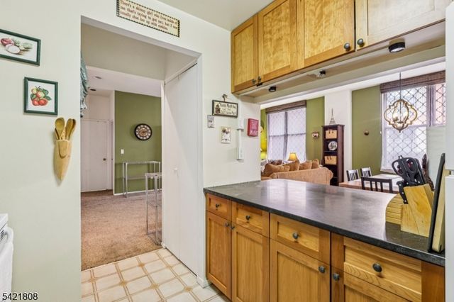 111 Mulberry St 2-V, Newark City, NJ 07102