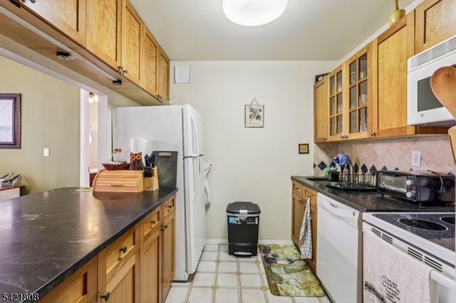 111 Mulberry St 2-V, Newark City, NJ 07102