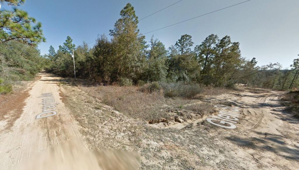 0 Drayton Avenue, Interlachen, FL 32148