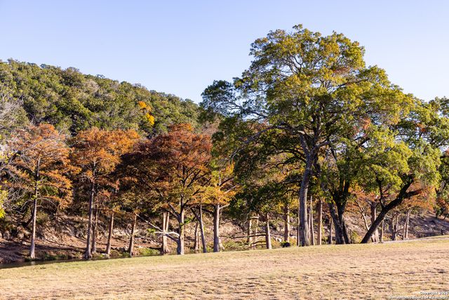 174 Cedar Rock Trail, Hunt, TX 78024