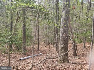 11523 VENTURA TRAIL, Lusby, MD 20657