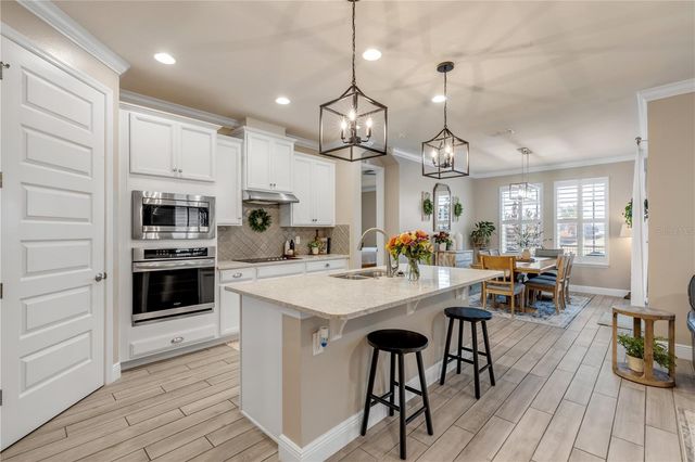 3004 BORASSUS DRIVE, New Smyrna Beach, FL 32168