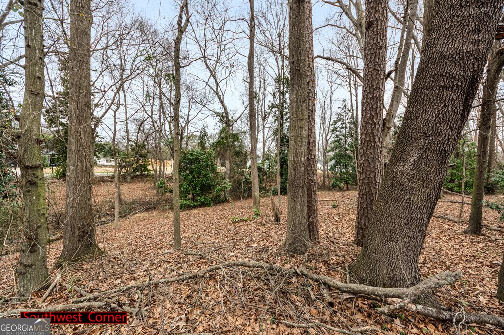 49 Fairview Station, Hartwell, GA 30643 — photo 4