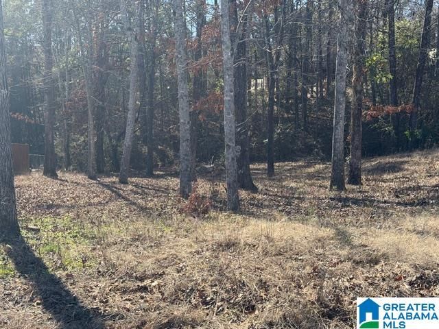 316 STERLING MANOR CIRCLE, Alabaster, AL 35007