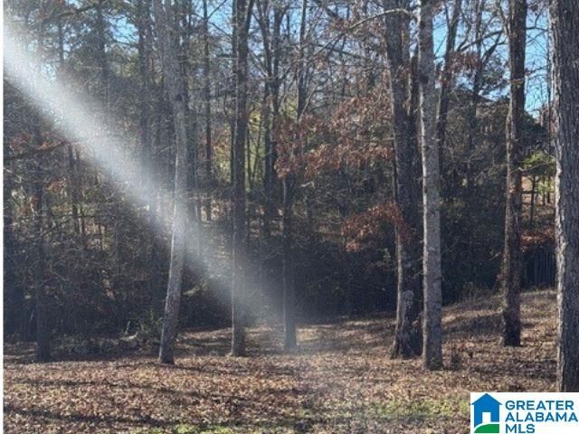 316 STERLING MANOR CIRCLE, Alabaster, AL 35007