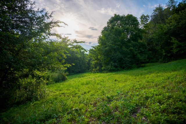 128 Leath Ln, Bethpage, TN 37022