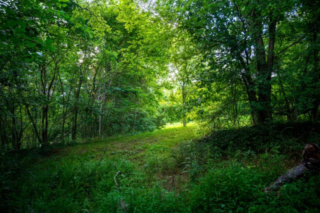 128 Leath Ln, Bethpage, TN 37022