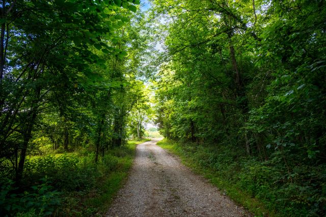 128 Leath Ln, Bethpage, TN 37022