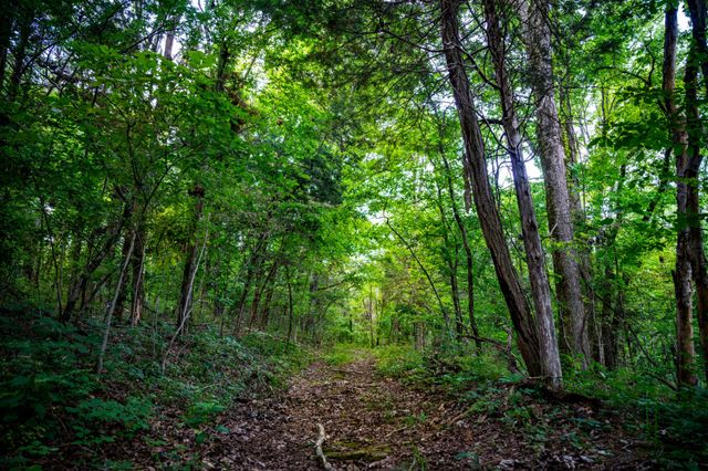 128 Leath Ln, Bethpage, TN 37022
