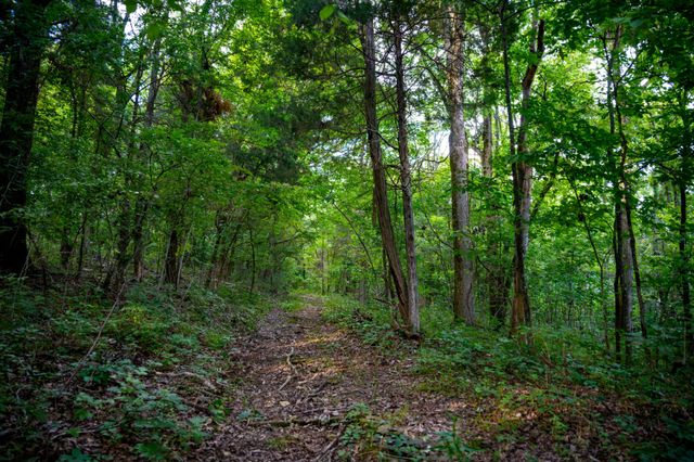 128 Leath Ln, Bethpage, TN 37022