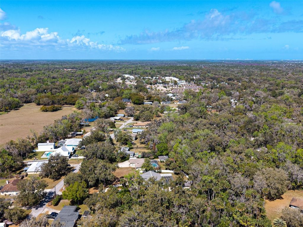 Image 63 of property listing at 893 BOLTON ROAD, New Smyrna Beach, FL 32168