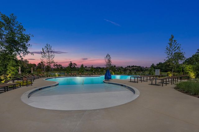 3220 Bushy Hawthorn Drive, Conroe, TX 77301