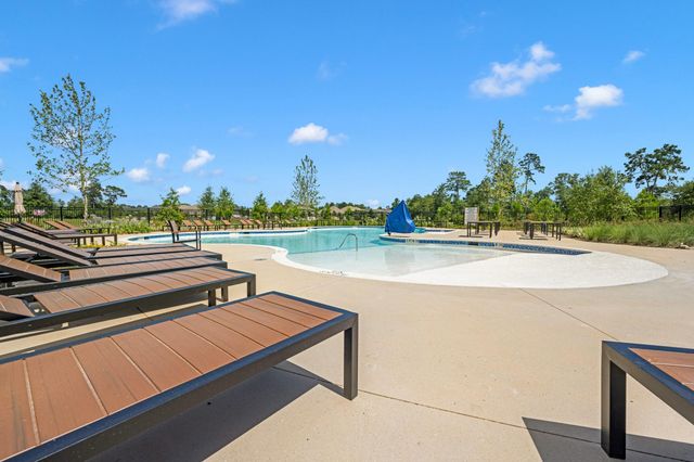 3220 Bushy Hawthorn Drive, Conroe, TX 77301