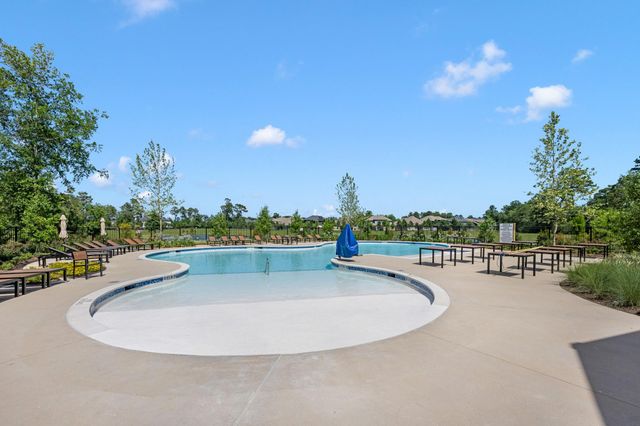 3220 Bushy Hawthorn Drive, Conroe, TX 77301