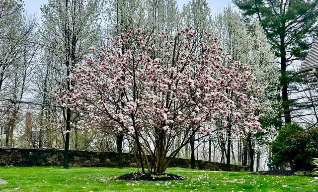 261 Fillow Street, Norwalk, CT 06850