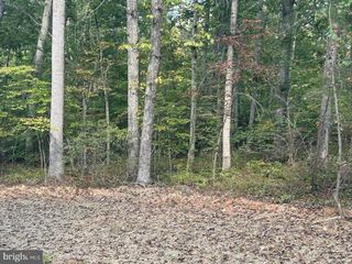 CAMDEN LN, Elkwood, VA 22718