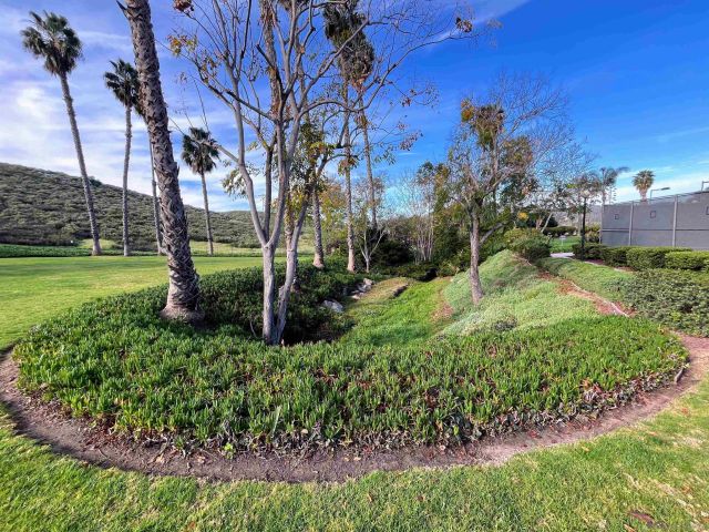 731 Concerto Glen, Escondido, CA 92025