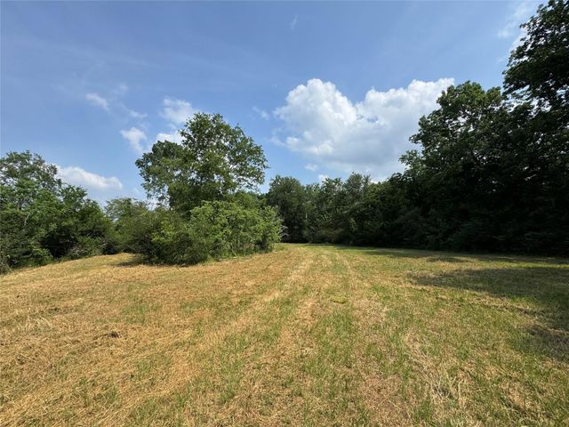 24077 Old Dobbin Plantersvil Road, Montgomery, TX 77316