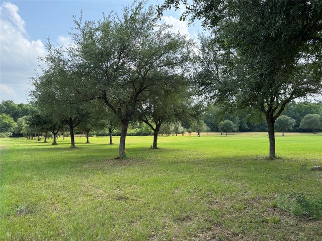 24077 Old Dobbin Plantersvil Road, Montgomery, TX 77316