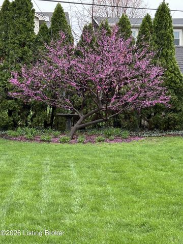 1906 Rutherford Ave, Louisville, KY 40205