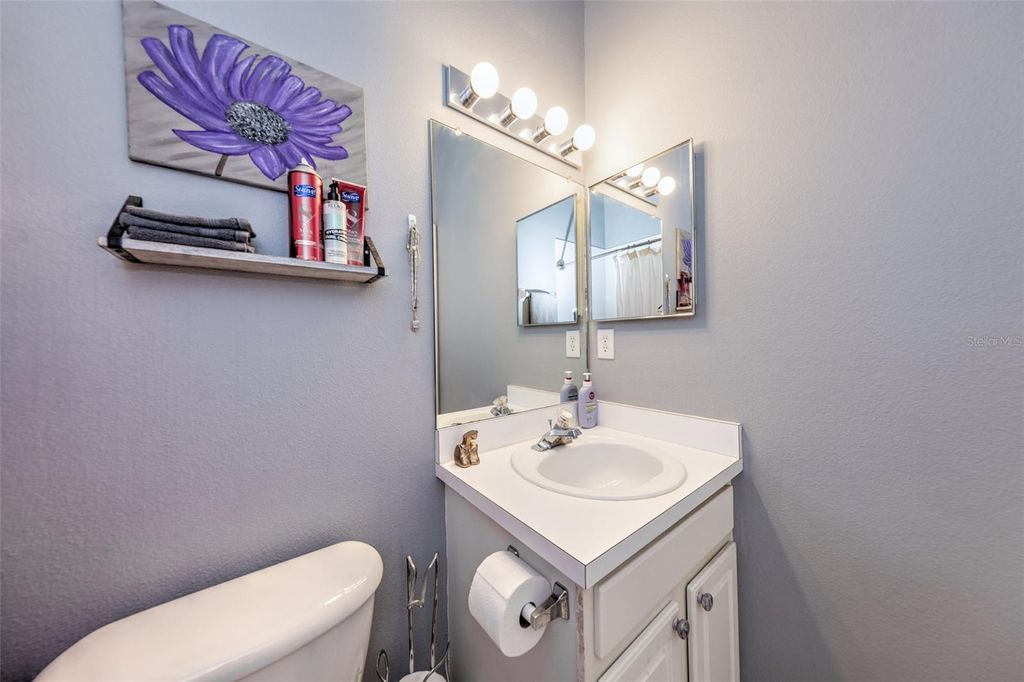 Image 22 of property listing at 30243 LACLEDES LANE, Wesley Chapel, FL 33543