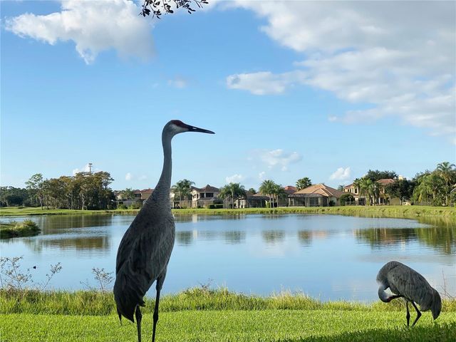 10441 STAPELEY DRIVE, Orlando, FL 32832