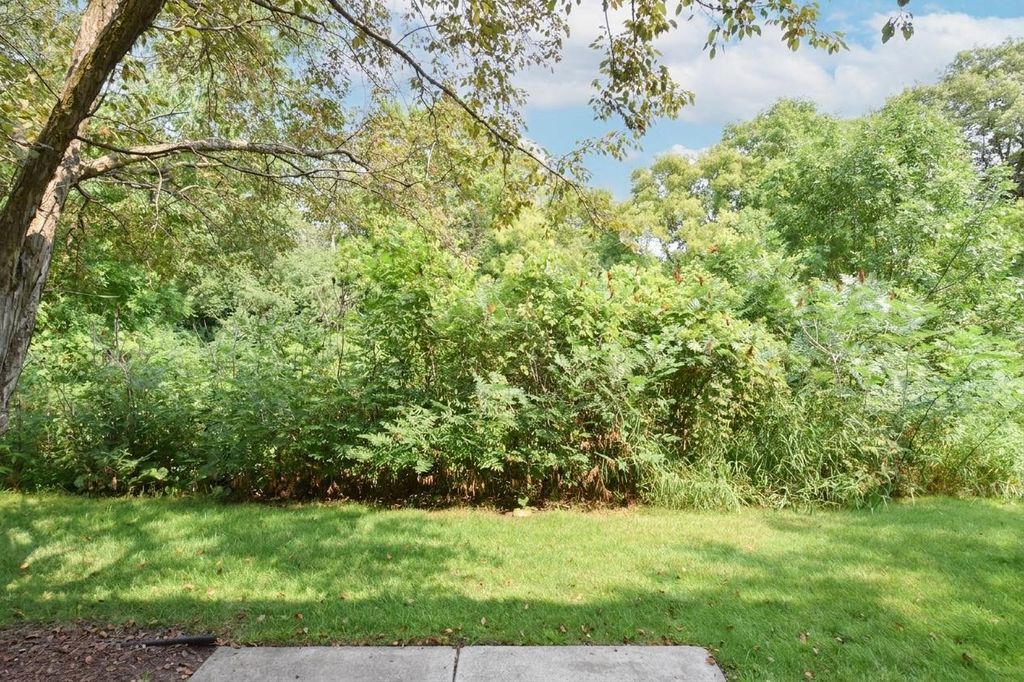 9000 Comstock Lane N, Maple Grove, MN 55311 — photo 4